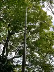 華厳寺（鈴虫寺）の自然