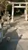 葛原八幡神社の{uncategorized: "未分類", other: "その他", undefined: "問題あり", building: "その他建物", grave: "お墓", sacred_gate: "鳥居", guardian: "狛犬", statue: "像", buddha: "仏像", history: "歴史", nature: "自然", garden: "庭園", animal: "動物", pagoda: "塔", temizu: "手水舎", mountain_gate: "山門・神門", sanctuary: "本殿・本堂", subordinate: "末社・摂社", art: "芸術", scenery: "景色", jizo: "地蔵", ema: "絵馬", goshuin: "御朱印", omikuji: "おみくじ", items: "授与品その他", amulet: "お守り", goshuincho: "御朱印帳", eats: "食事", festival: "お祭り", votive_dance: "神楽", shichigosan: "七五三参", wedding: "結婚式", experience: "体験その他", initially: "初詣", around: "周辺", anti_infection: "感染症対策"}