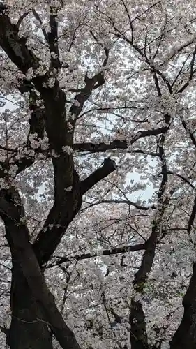 本隆寺（本妙興隆寺）(京都府)