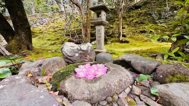 霊鑑寺門跡(京都府)