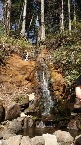 戸隠神社中社の庭園