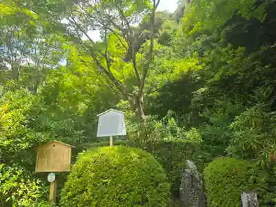 三室戸寺(京都府)