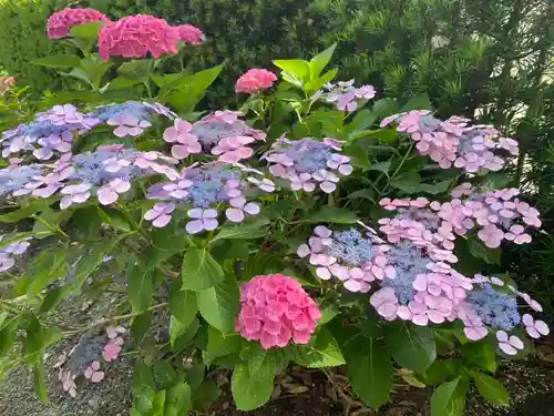 美奈宜神社(福岡県)