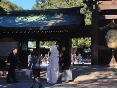 明治神宮(東京都)