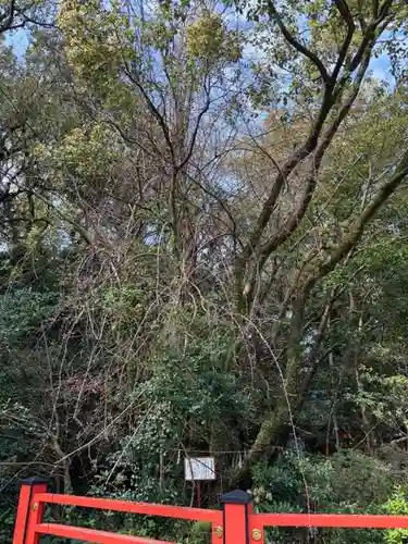枚聞神社(鹿児島県)