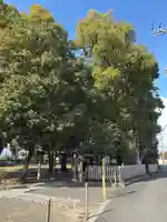 綱越神社(大神神社摂社)(奈良県)