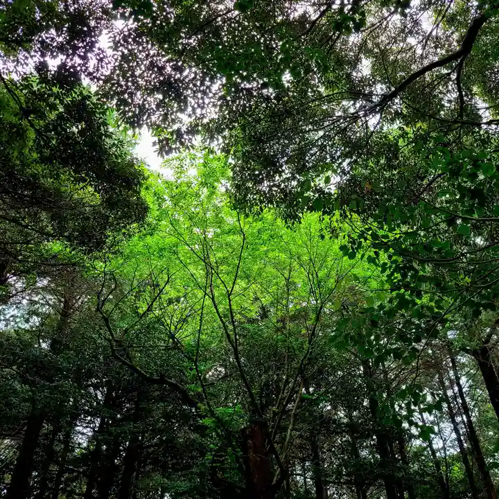 府八幡宮(静岡県)