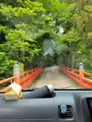 本圀寺の建物その他