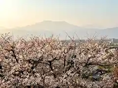 如法寺(長野県)