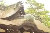 住吉大社(大阪府)