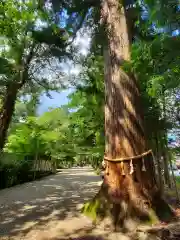 猿投神社(愛知県)