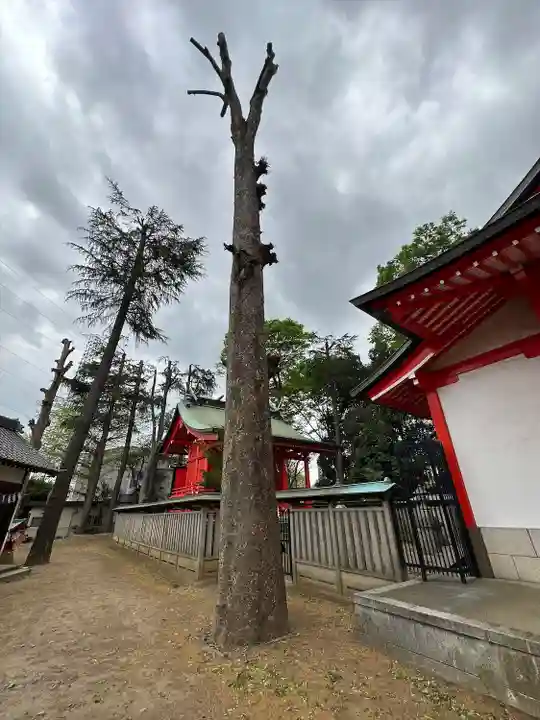 小野神社(東京都)