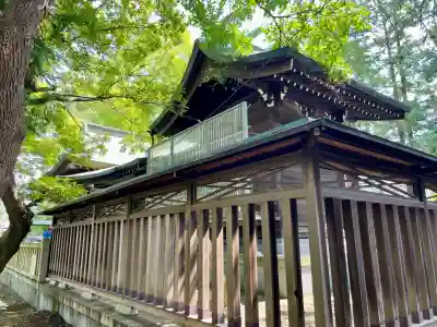 小杉神社(神奈川県)
