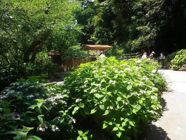 葛原岡神社の自然