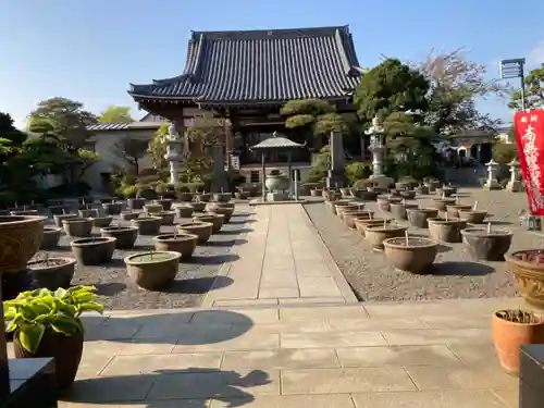 要法寺の本殿・本堂