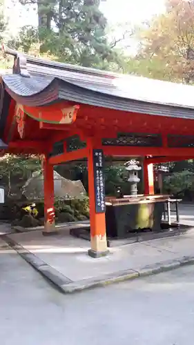 箱根神社の手水舎