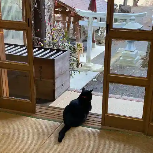 高司神社〜むすびの神の鎮まる社〜(福島県)