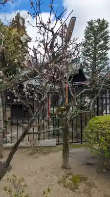 剣神社(京都府)