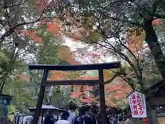 野宮神社の鳥居