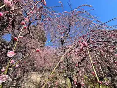 城南宮(京都府)