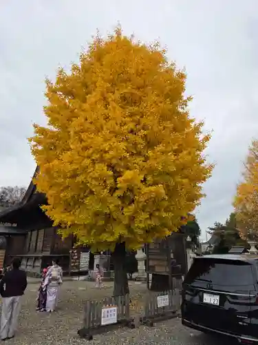 神明宮(栃木県)