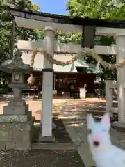 治田神社下の宮(長野県)