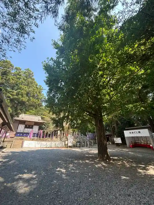 下野 星宮神社の{uncategorized: "未分類", other: "その他", undefined: "問題あり", building: "その他建物", grave: "お墓", sacred_gate: "鳥居", guardian: "狛犬", statue: "像", buddha: "仏像", history: "歴史", nature: "自然", garden: "庭園", animal: "動物", pagoda: "塔", temizu: "手水舎", mountain_gate: "山門・神門", sanctuary: "本殿・本堂", subordinate: "末社・摂社", art: "芸術", scenery: "景色", jizo: "地蔵", ema: "絵馬", goshuin: "御朱印", omikuji: "おみくじ", items: "授与品その他", amulet: "お守り", goshuincho: "御朱印帳", eats: "食事", festival: "お祭り", votive_dance: "神楽", shichigosan: "七五三参", wedding: "結婚式", experience: "体験その他", initially: "初詣", around: "周辺", anti_infection: "感染症対策"}