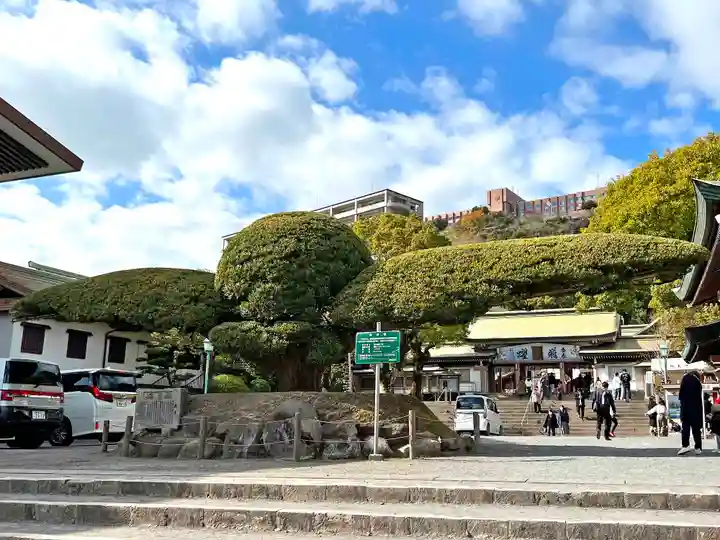 照國神社の自然