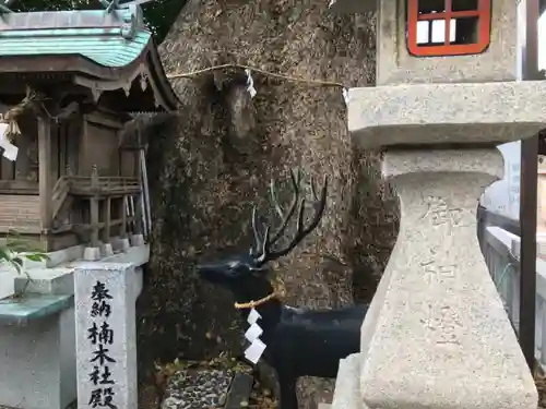 蟻通神社の狛犬