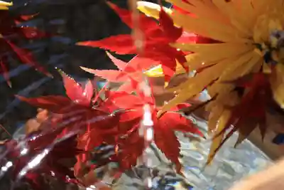 豊景神社の手水舎