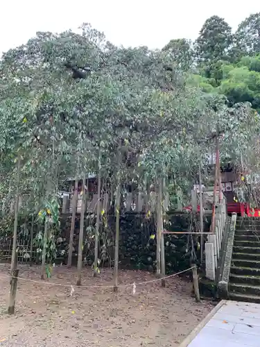 小川諏訪神社の庭園