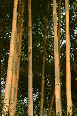 三ケ所神社(宮崎県)