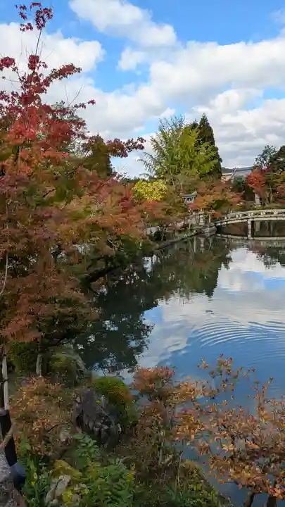 禅林寺(永観堂)(京都府)