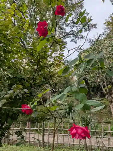 乃木神社(東京都)