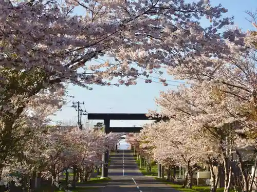 岩内神社の鳥居