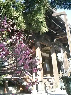 本覚寺の本殿・本堂