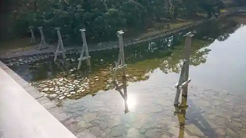 伊勢神宮内宮（皇大神宮）の自然