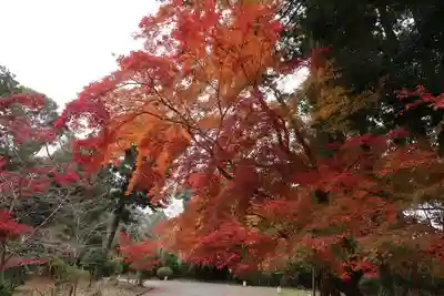 園城寺（三井寺）(滋賀県)