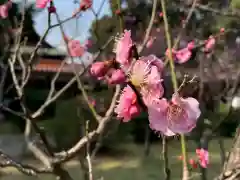 小松天満宮の自然