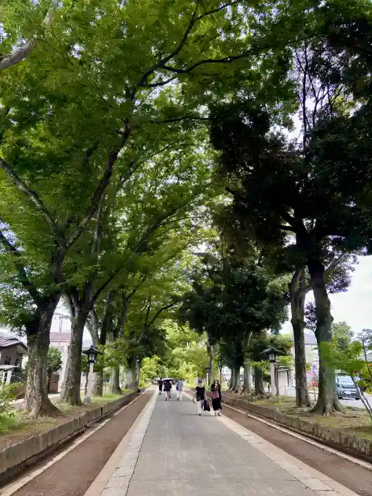 武蔵一宮氷川神社(埼玉県)