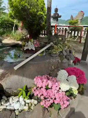 このみ白雲大社の{uncategorized: "未分類", other: "その他", undefined: "問題あり", building: "その他建物", grave: "お墓", sacred_gate: "鳥居", guardian: "狛犬", statue: "像", buddha: "仏像", history: "歴史", nature: "自然", garden: "庭園", animal: "動物", pagoda: "塔", temizu: "手水舎", mountain_gate: "山門・神門", sanctuary: "本殿・本堂", subordinate: "末社・摂社", art: "芸術", scenery: "景色", jizo: "地蔵", ema: "絵馬", goshuin: "御朱印", omikuji: "おみくじ", items: "授与品その他", amulet: "お守り", goshuincho: "御朱印帳", eats: "食事", festival: "お祭り", votive_dance: "神楽", shichigosan: "七五三参", wedding: "結婚式", experience: "体験その他", initially: "初詣", around: "周辺", anti_infection: "感染症対策"}