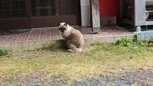 大雲寺（岩倉観音）(京都府)