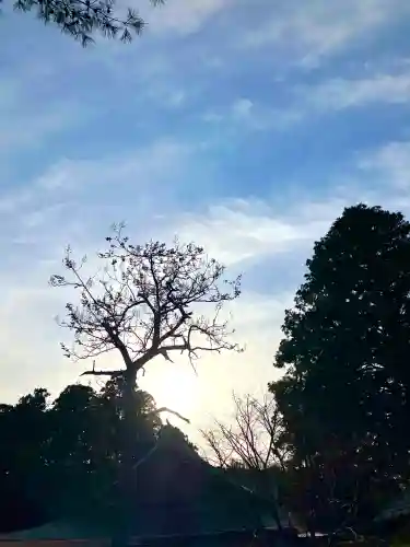 鹿島神宮の{uncategorized: "未分類", other: "その他", undefined: "問題あり", building: "その他建物", grave: "お墓", sacred_gate: "鳥居", guardian: "狛犬", statue: "像", buddha: "仏像", history: "歴史", nature: "自然", garden: "庭園", animal: "動物", pagoda: "塔", temizu: "手水舎", mountain_gate: "山門・神門", sanctuary: "本殿・本堂", subordinate: "末社・摂社", art: "芸術", scenery: "景色", jizo: "地蔵", ema: "絵馬", goshuin: "御朱印", omikuji: "おみくじ", items: "授与品その他", amulet: "お守り", goshuincho: "御朱印帳", eats: "食事", festival: "お祭り", votive_dance: "神楽", shichigosan: "七五三参", wedding: "結婚式", experience: "体験その他", initially: "初詣", around: "周辺", anti_infection: "感染症対策"}