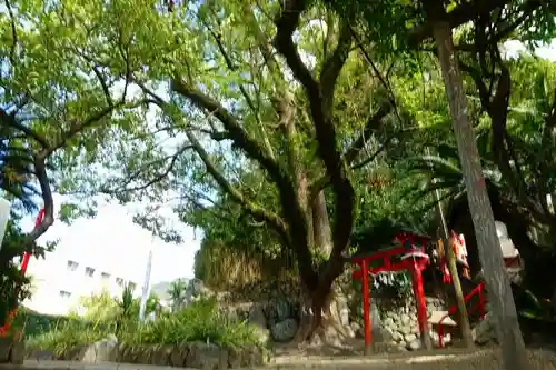 瓢箪山稲荷神社の自然