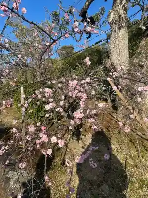 道明寺(大阪府)