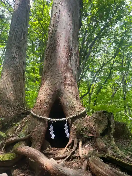 戸隠神社奥社(長野県)
