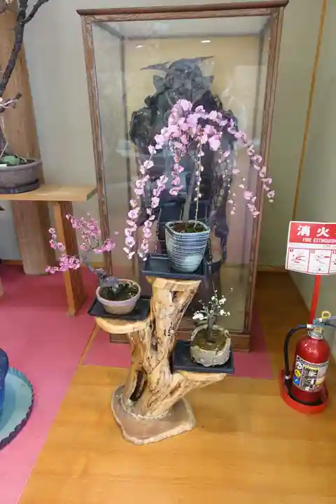 菅原天満宮(菅原神社)(奈良県)