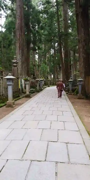 高野山金剛峯寺奥の院(和歌山県)