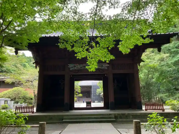 妙本寺(神奈川県)