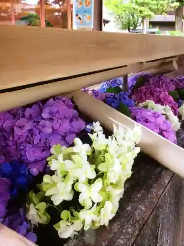 鳩森八幡神社の手水舎